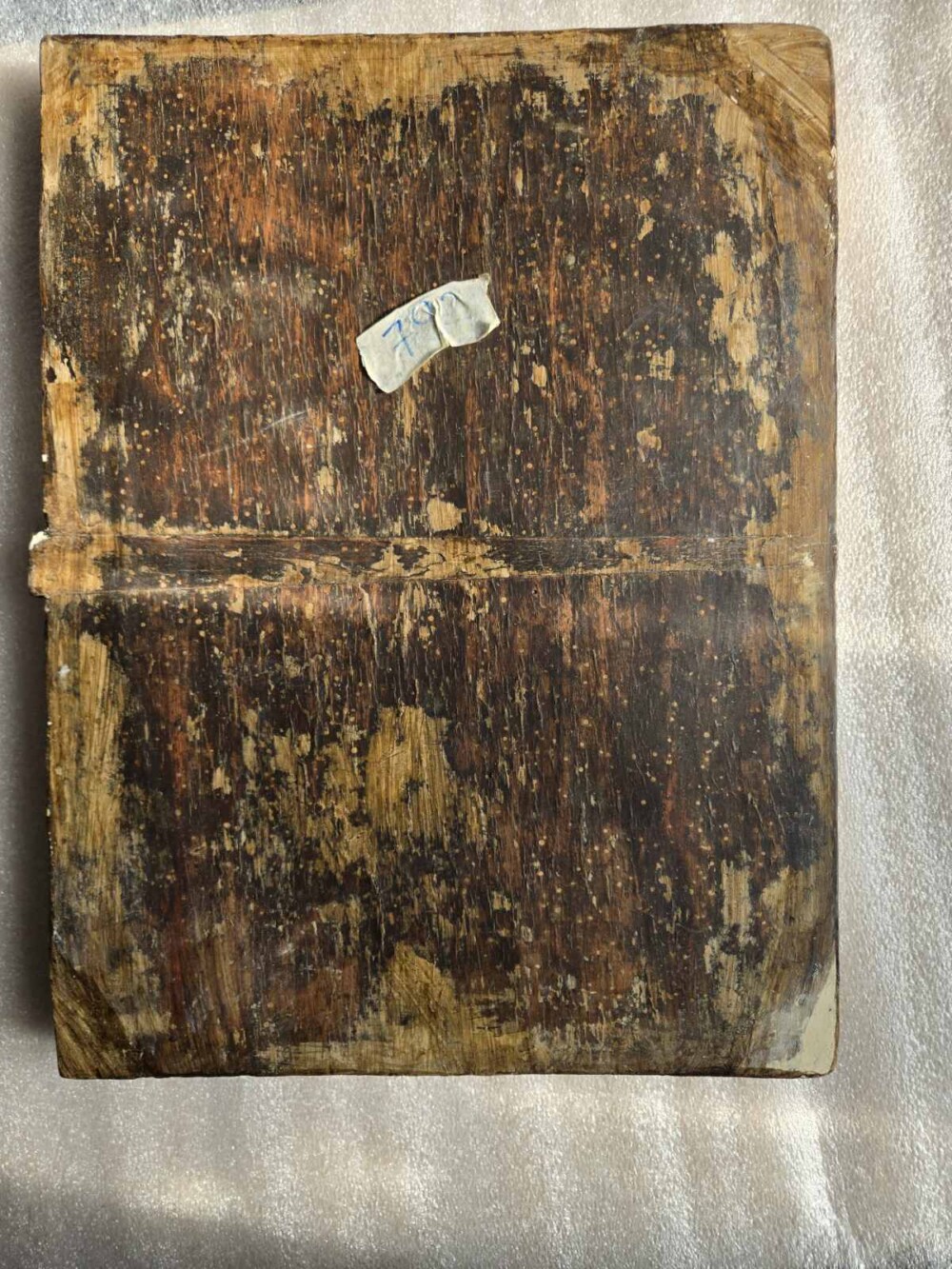 IMG-f5fa4543cc6f52b6777c5f4bc83af462-V